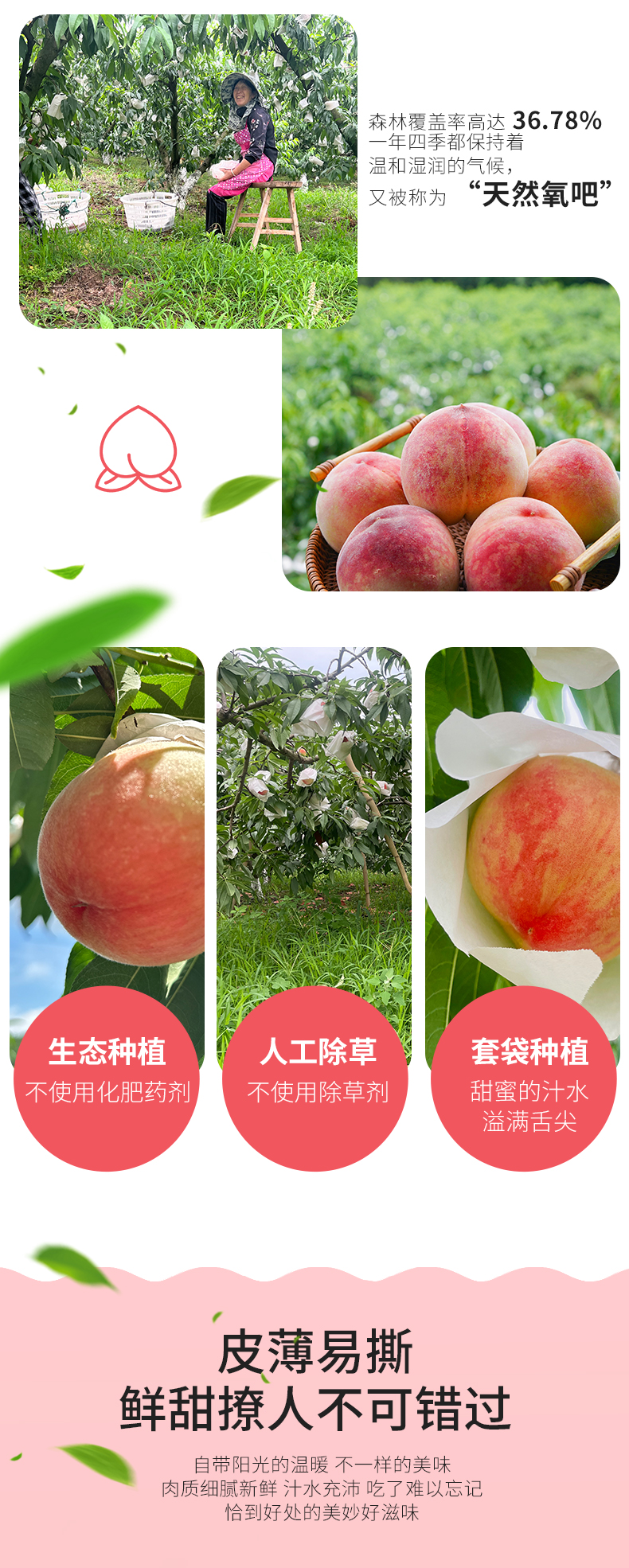 水蜜桃_05.jpg