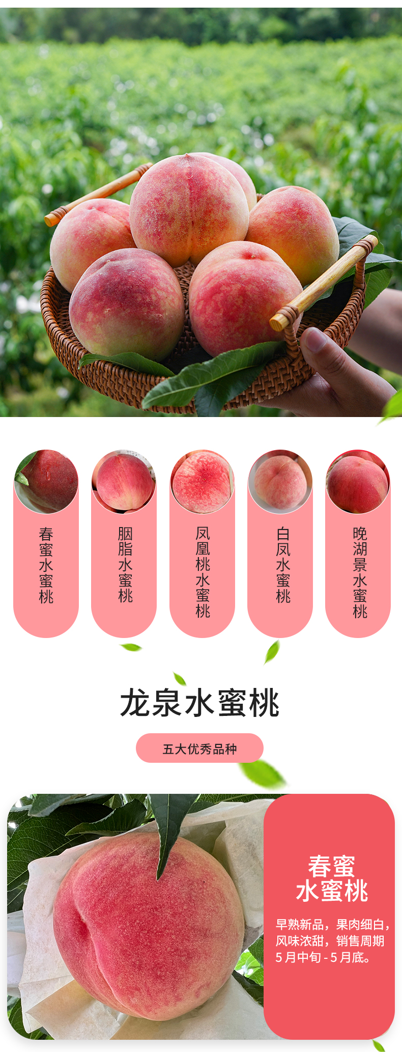 水蜜桃_02.jpg