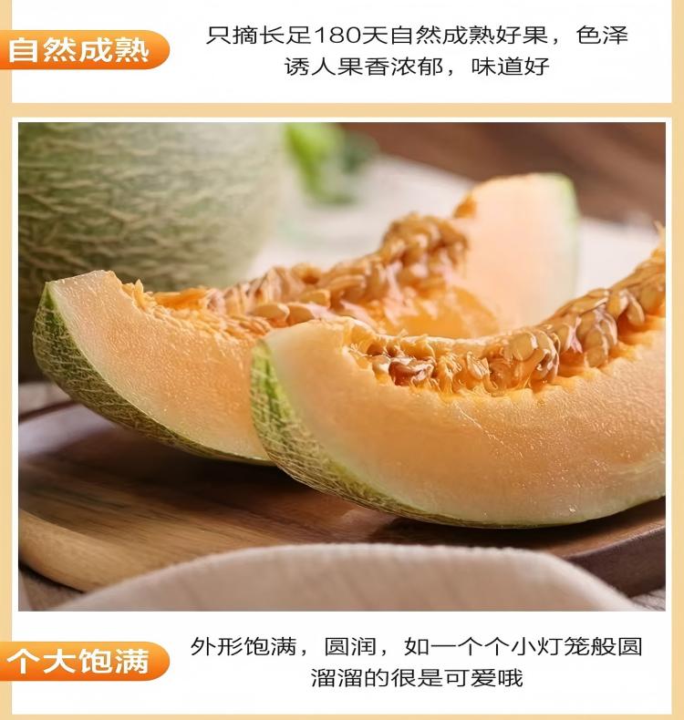 详情页9.jpg