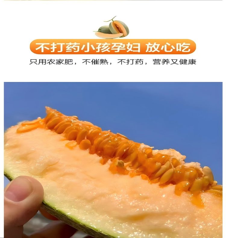 详情页12.jpg