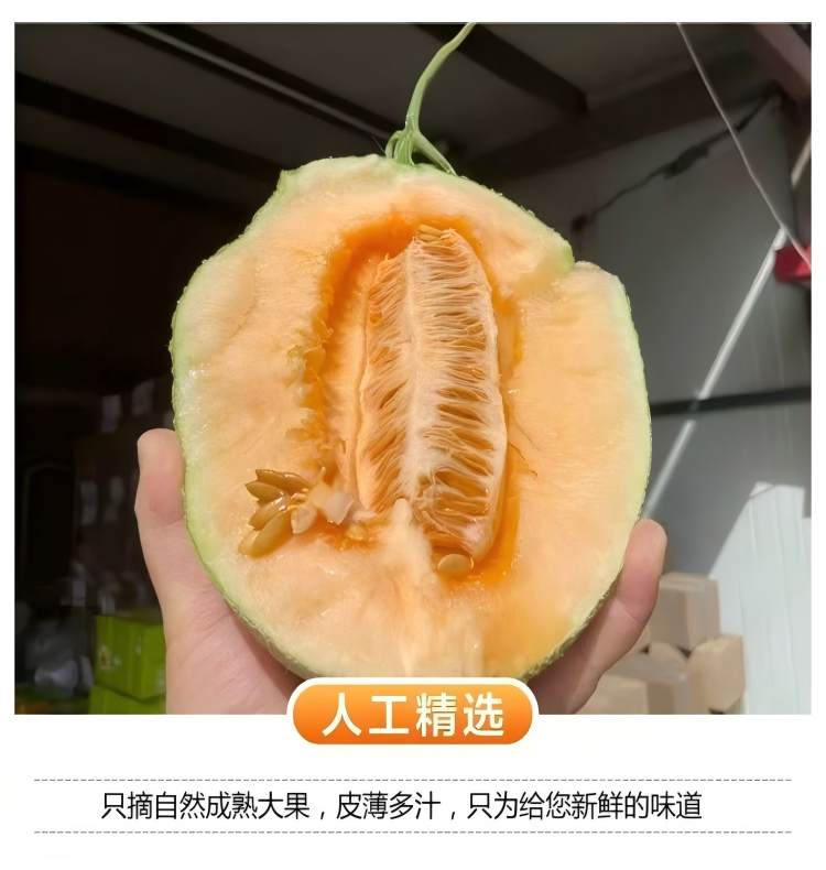 详情页13.jpg