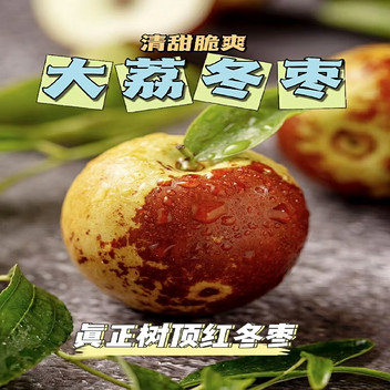 陕西大荔冬枣3斤礼盒单果25g起