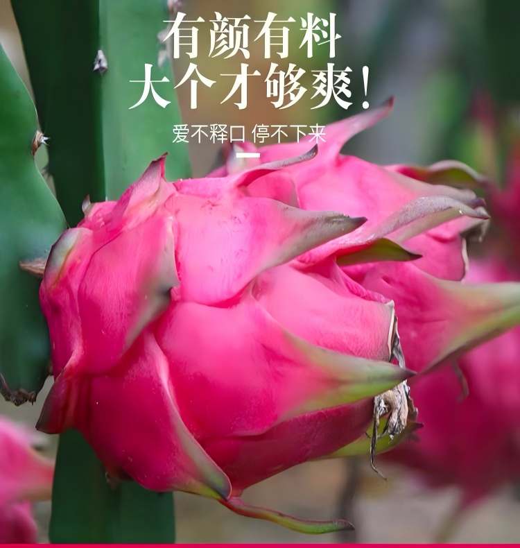 详情页10.jpg