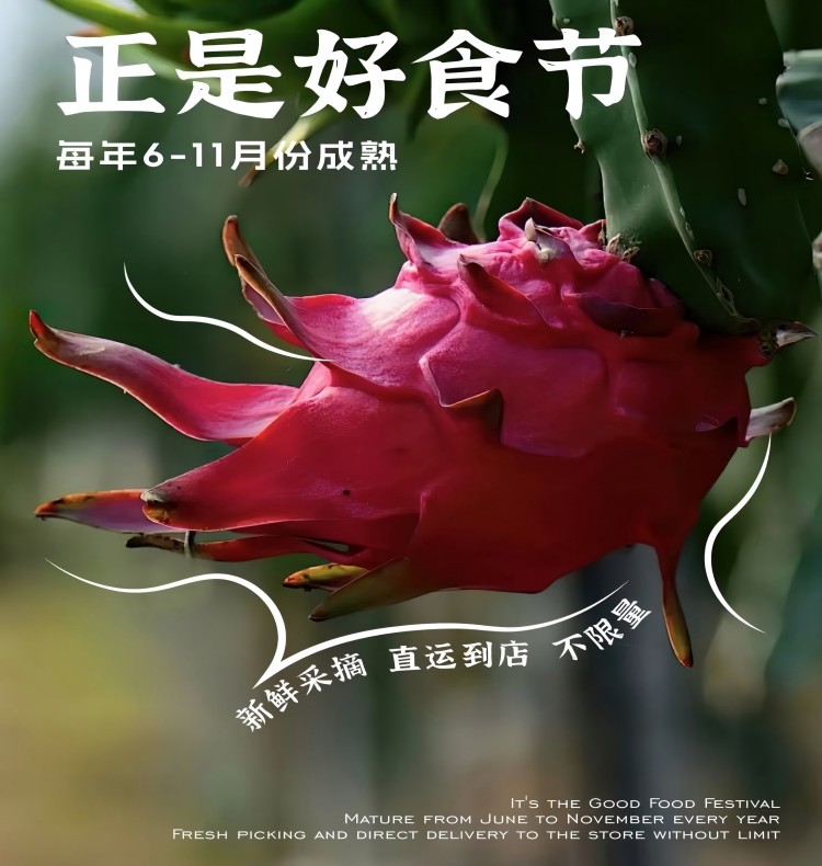详情页4.jpg