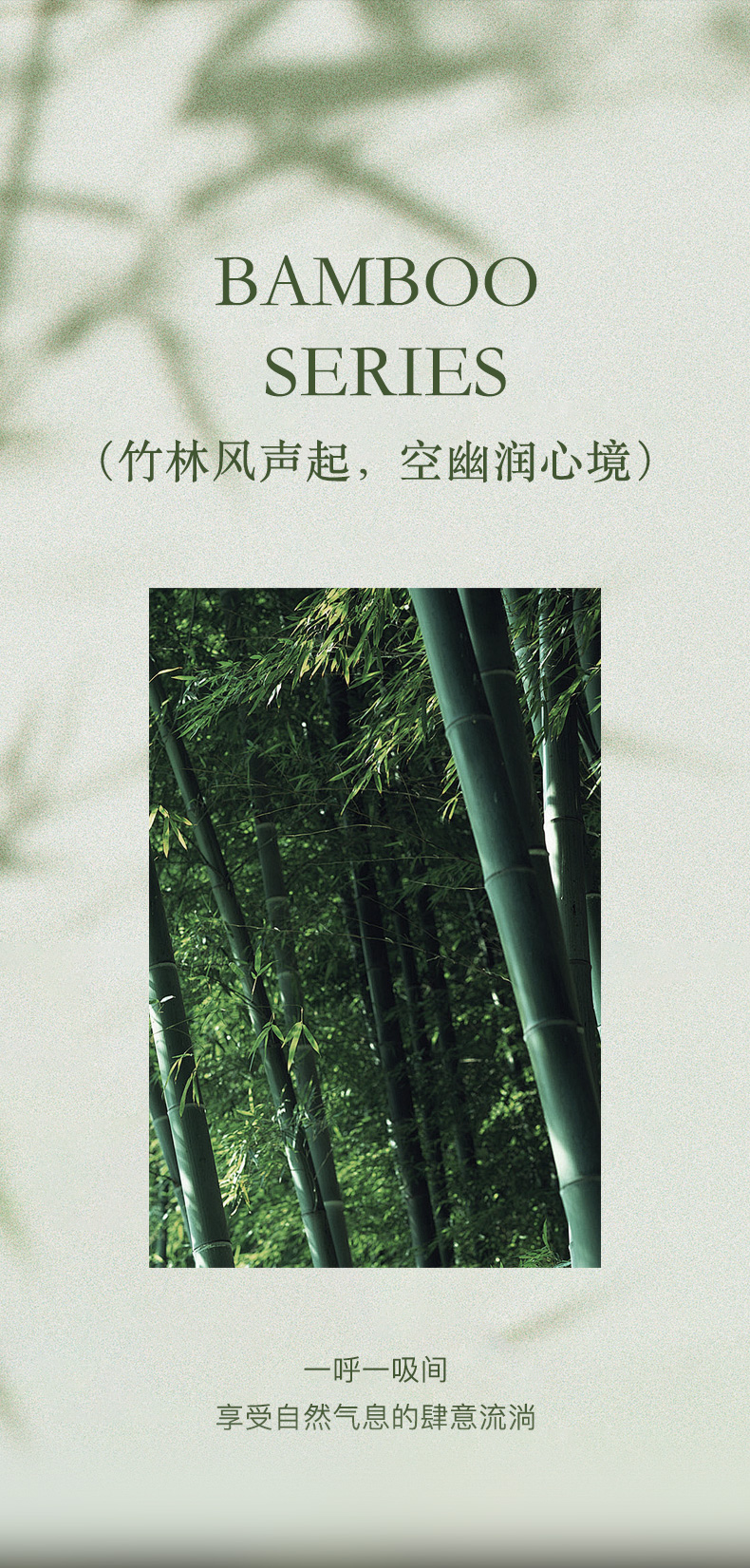 竹韵详情页790_02.jpg