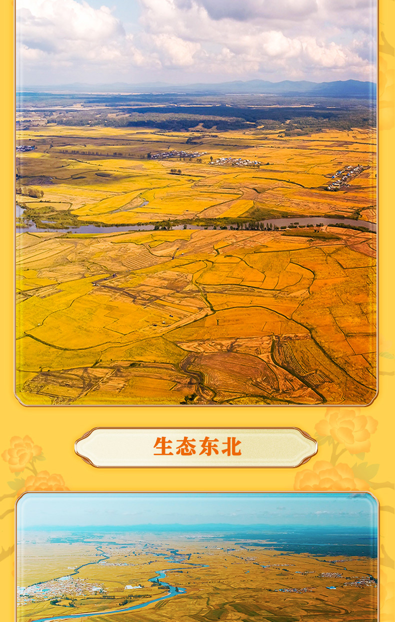 10_0715_生态稻香米5kg_03.jpg