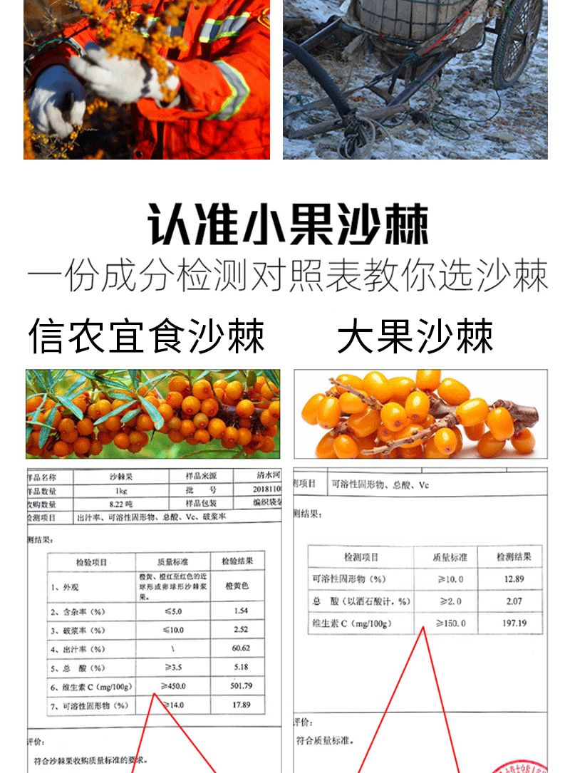 原味_05.jpg