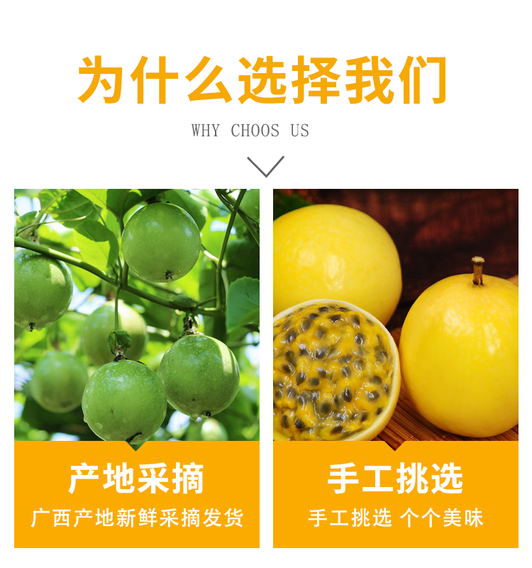 详情页8.jpg