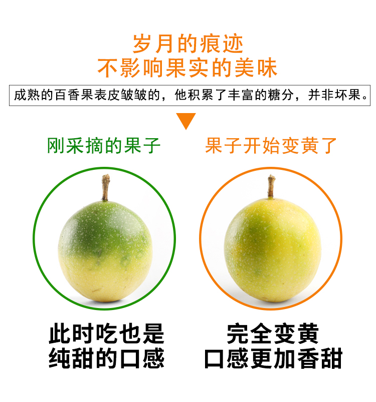 详情页7.jpg