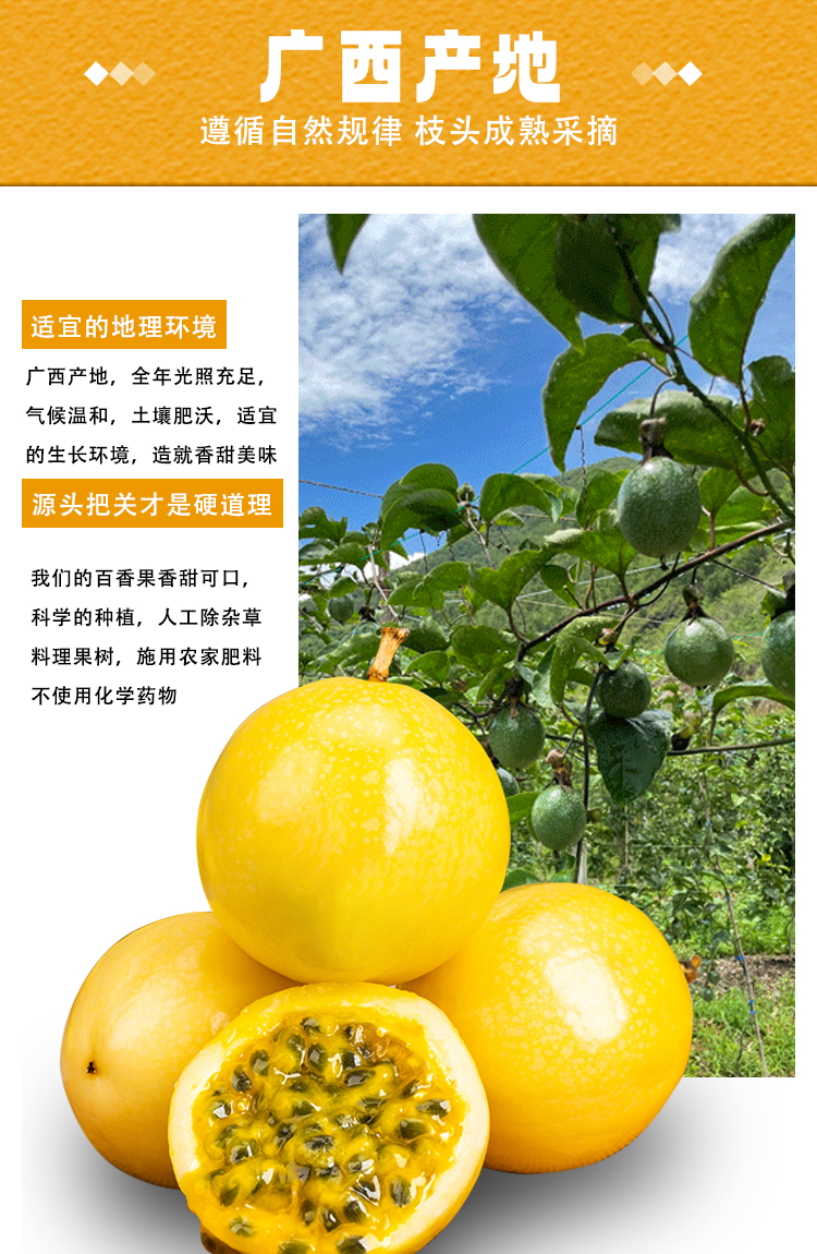 详情页9.jpg
