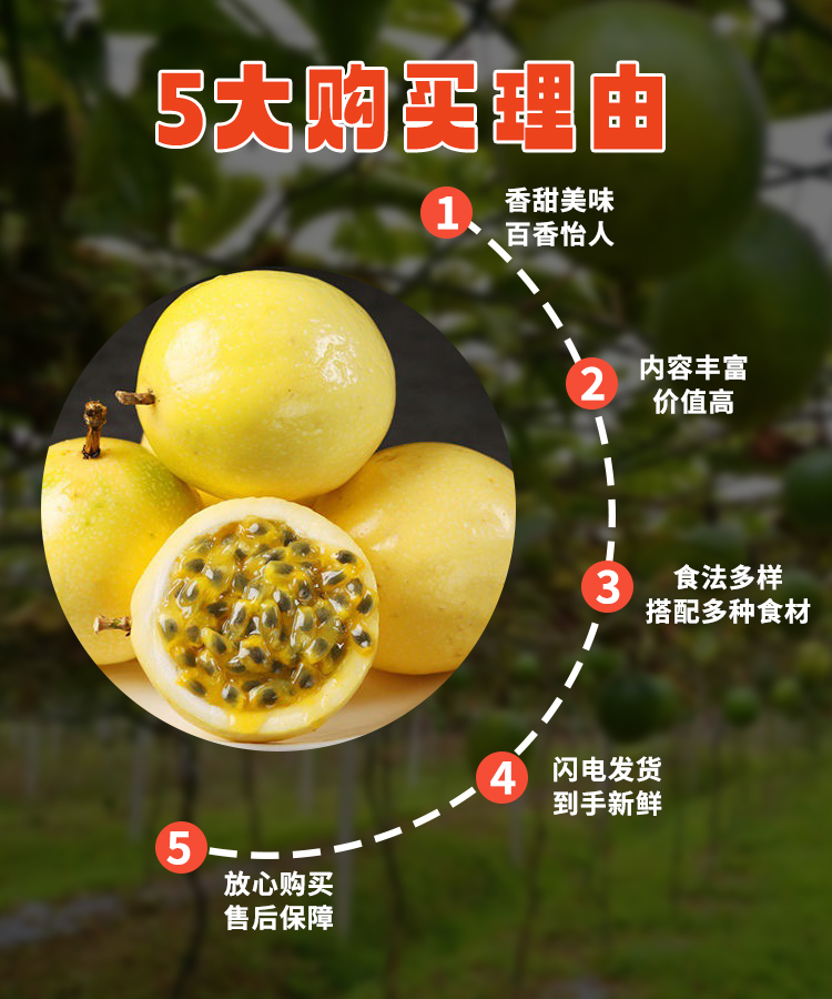 详情页10.jpg