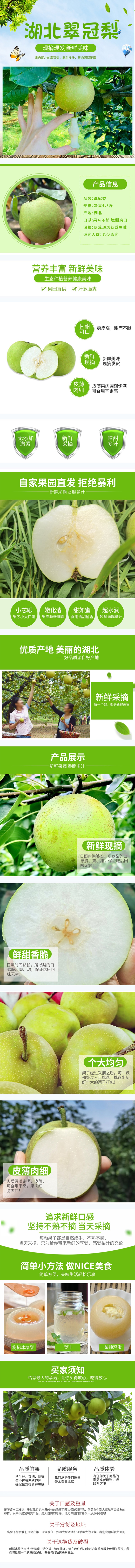翠冠梨详情.jpg