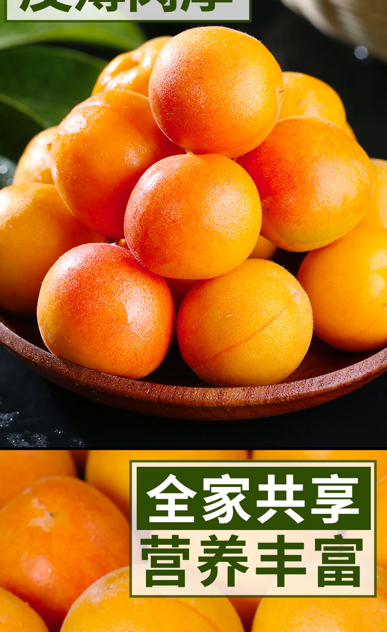 小红杏新疆2_10.jpg