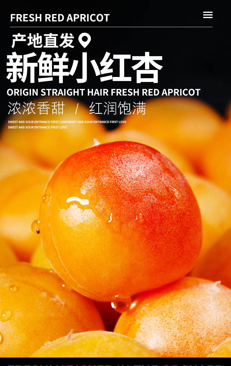 小红杏新疆2_01.jpg