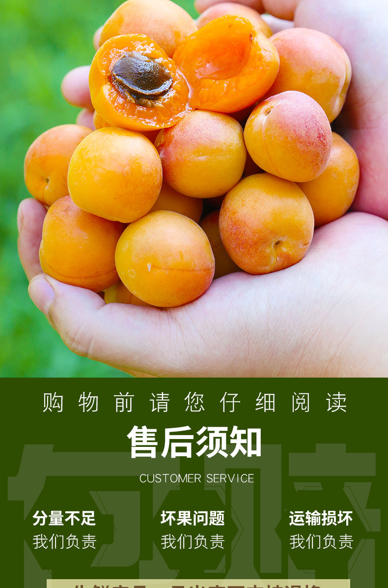 小红杏新疆2_12.jpg