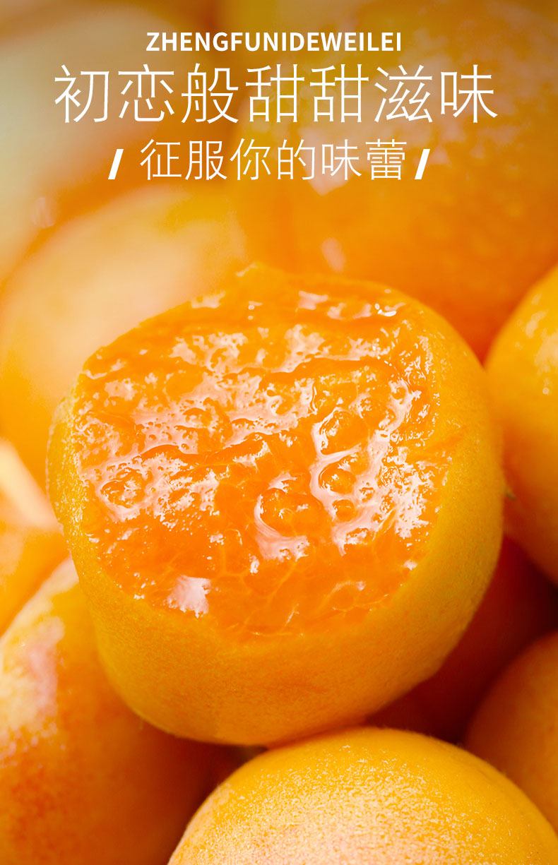 小红杏新疆2_03.jpg