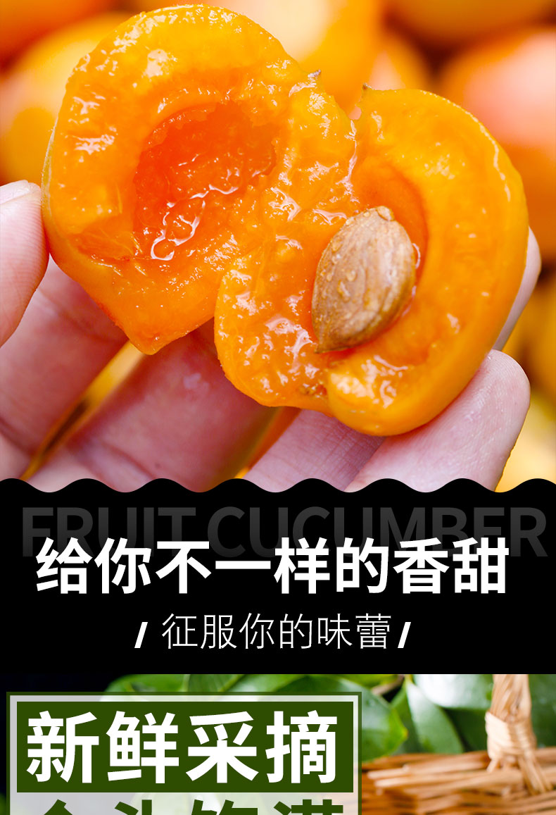 小红杏新疆2_07.jpg