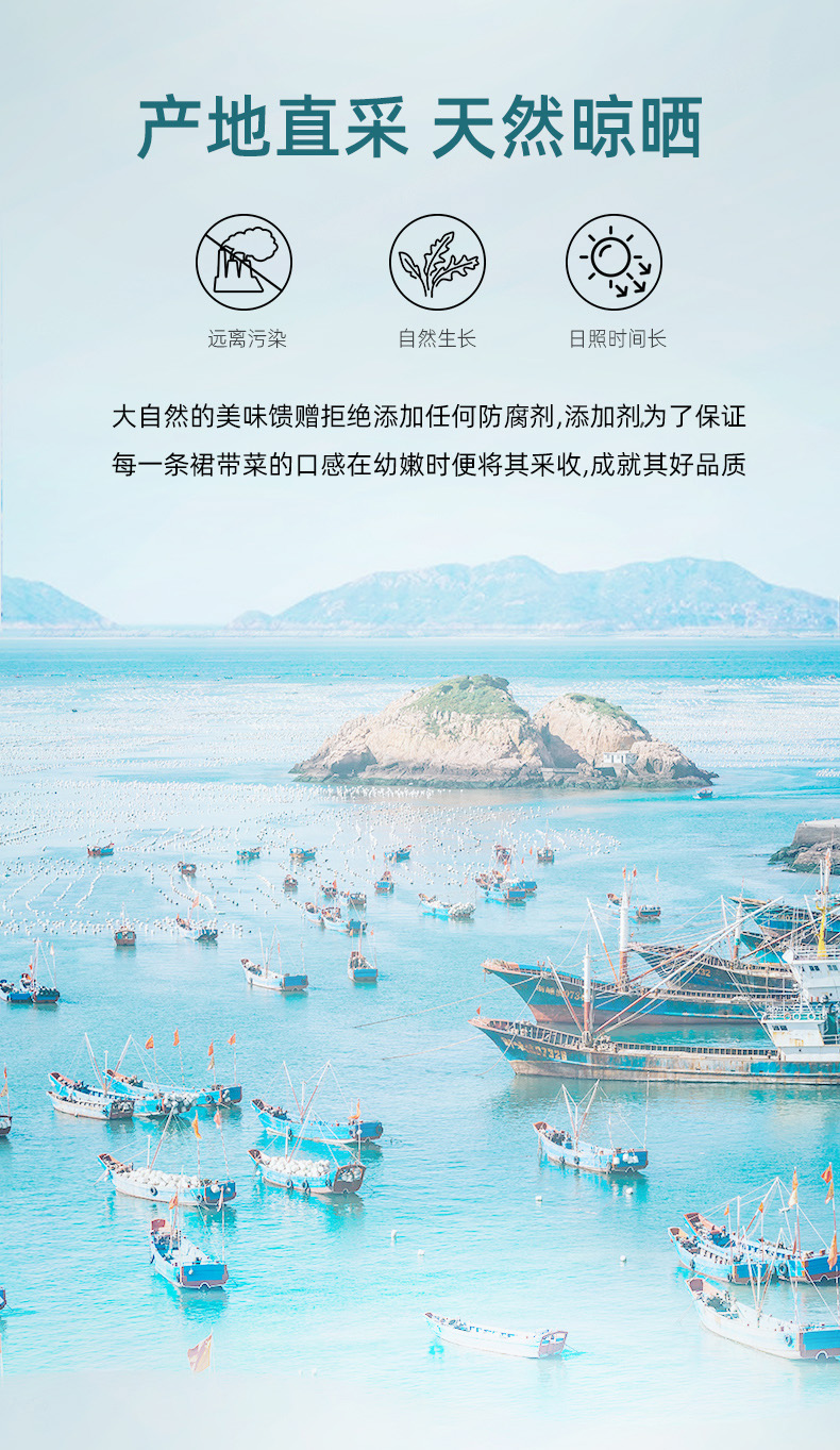 袋装40g-裙带菜_06.jpg