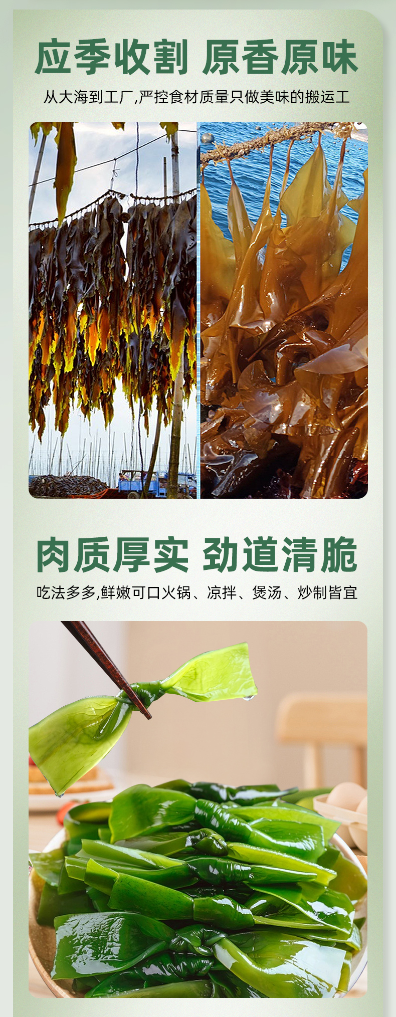 袋装有机海带结_11.jpg