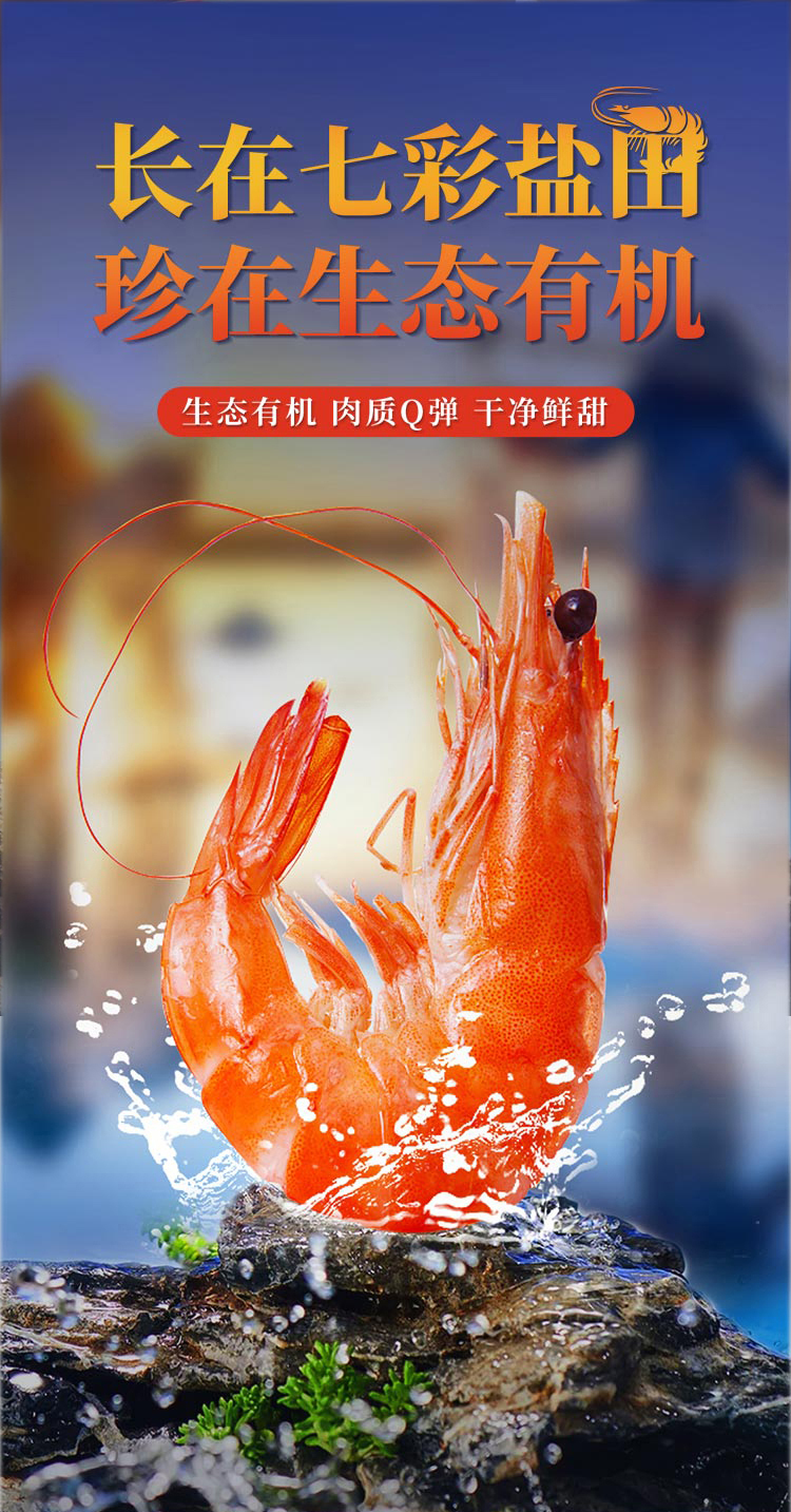 新详情页-_01.jpg