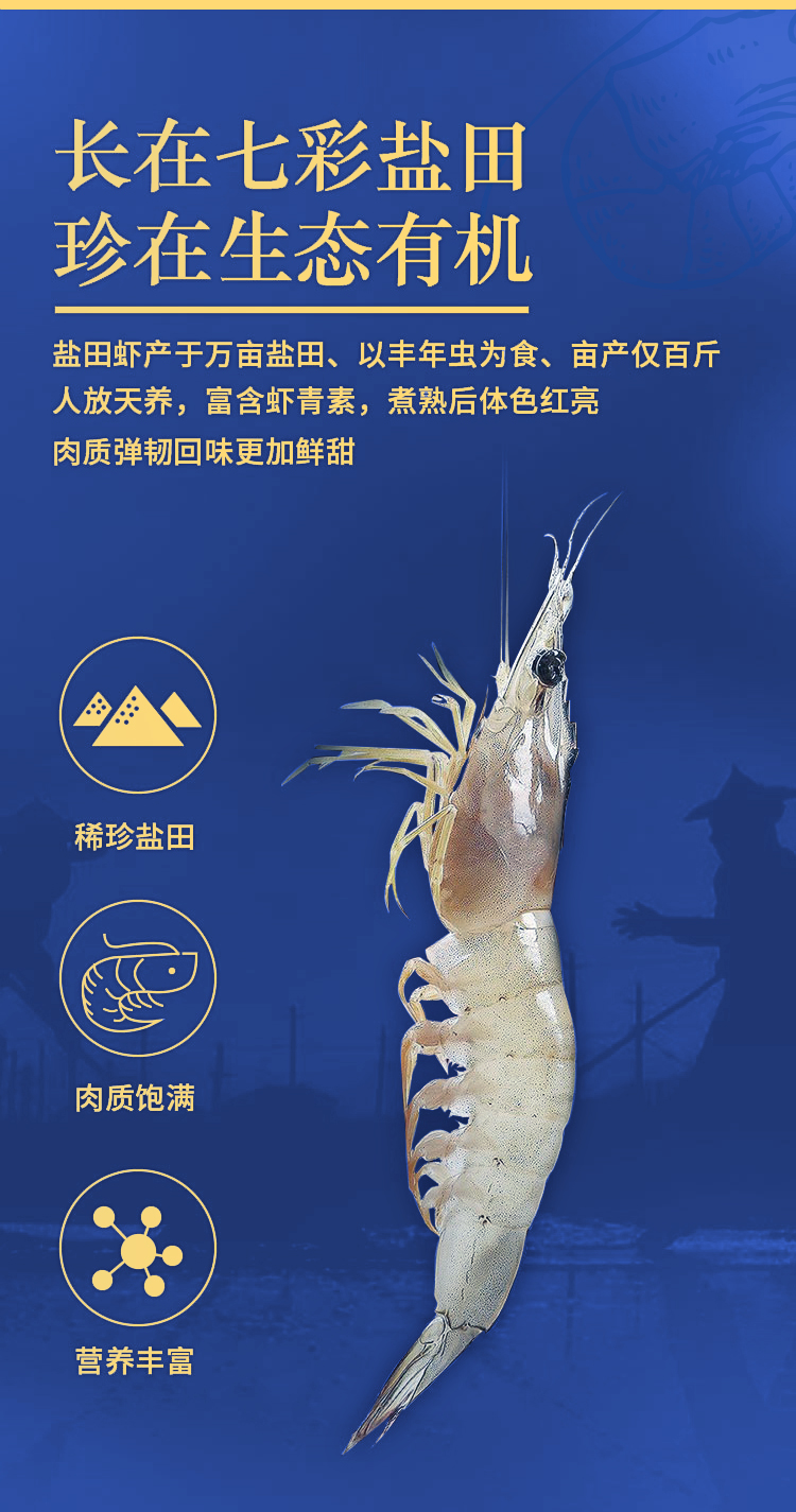 新详情页-_03.jpg