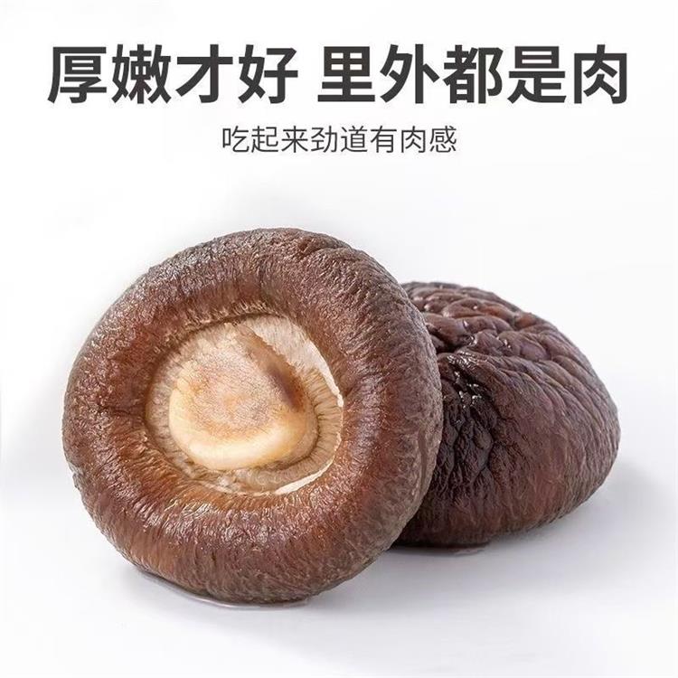 微信图片_20250617164020.jpg