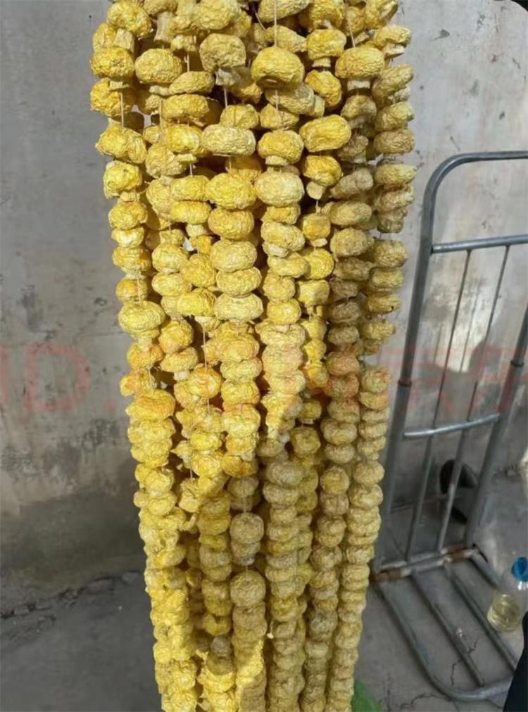 微信图片_20240729113326.jpg