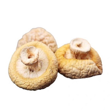 九色尊礼 黄菇礼盒200g