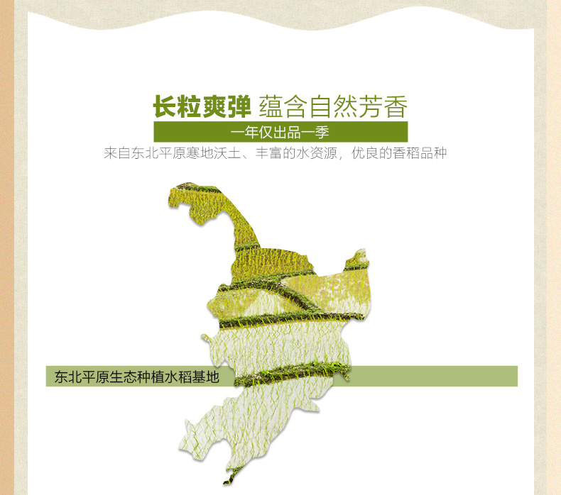 大米A_05.jpg