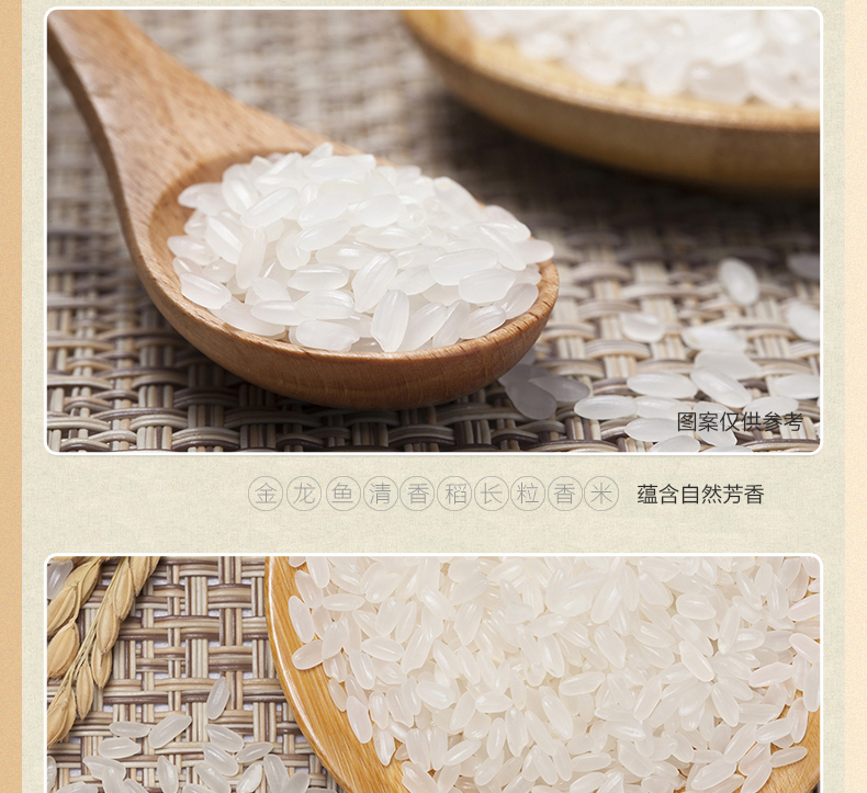 大米A_08.jpg