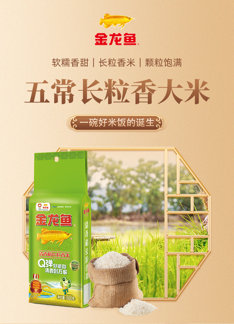 大米B_01.jpg
