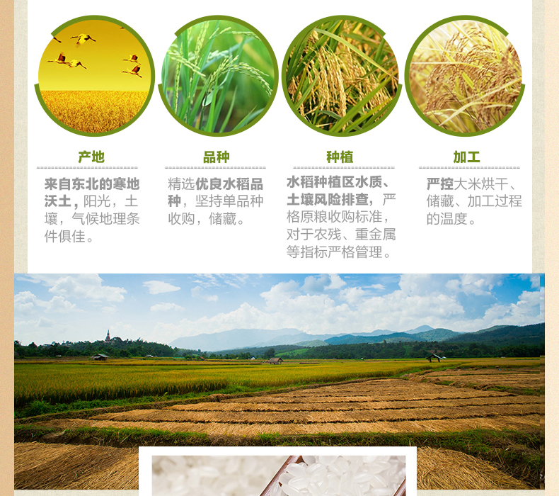 大米B_06.jpg