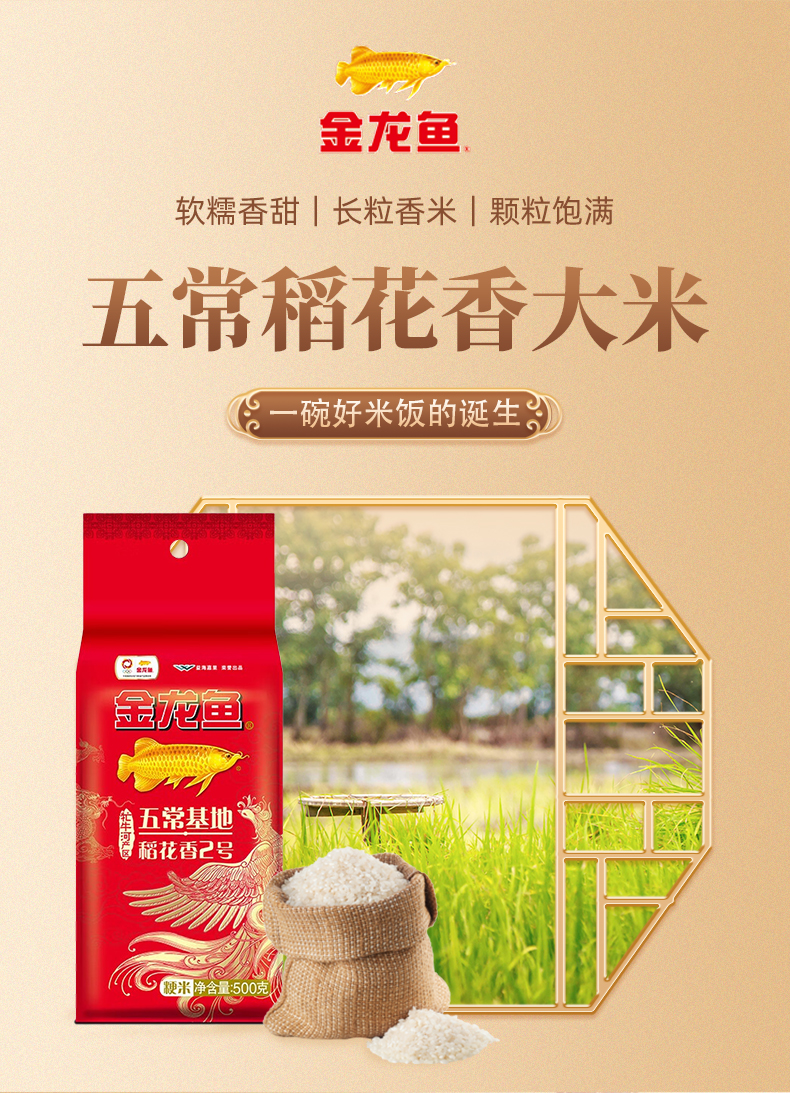 大米C_01.jpg