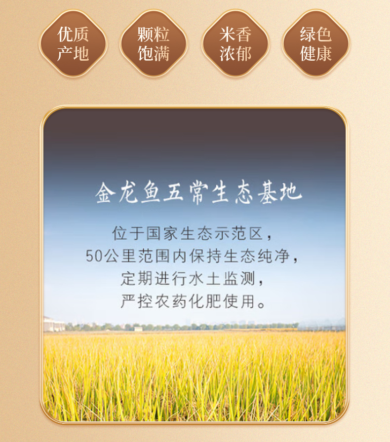大米C_03.jpg
