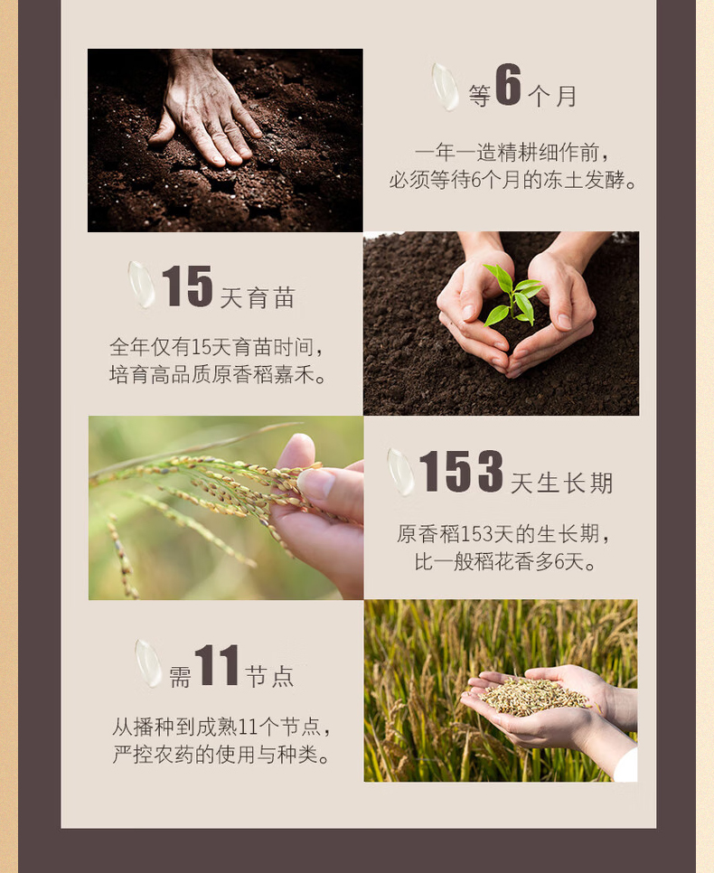 大米C_08.jpg