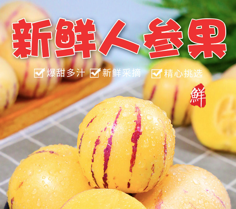人参果详_01.jpg