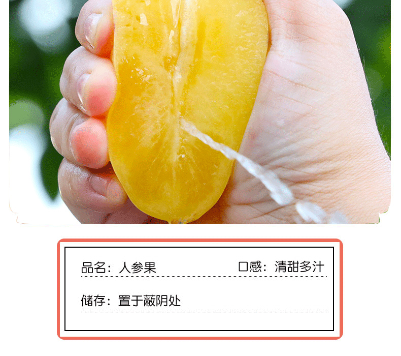 人参果详_03 副本.jpg