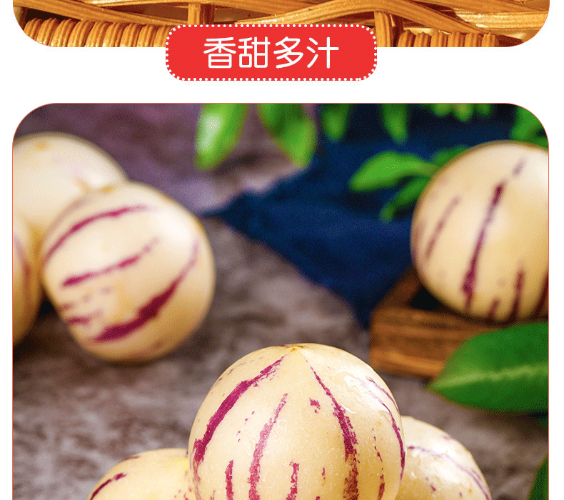 人参果详_08 副本.jpg