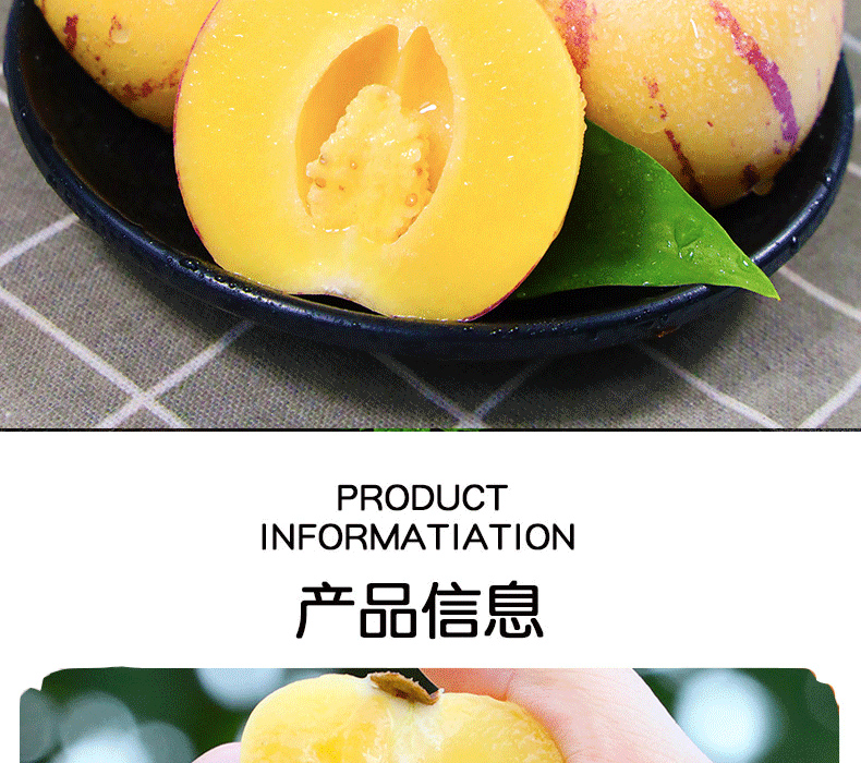 人参果详_02 副本.jpg