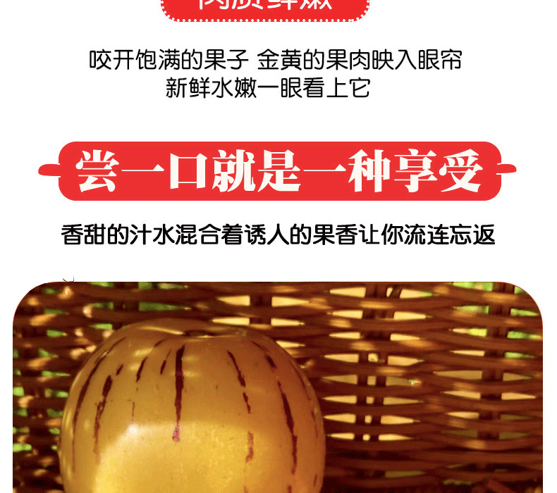 人参果详_06 副本.jpg