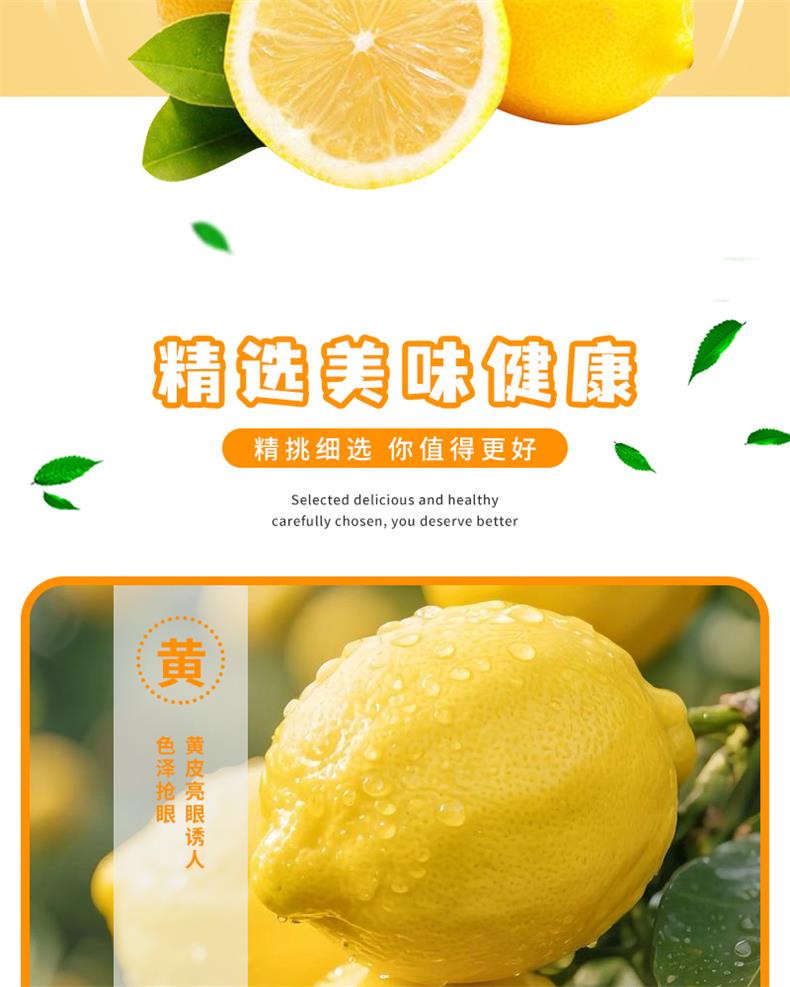 29安岳黄柠檬_05.jpg