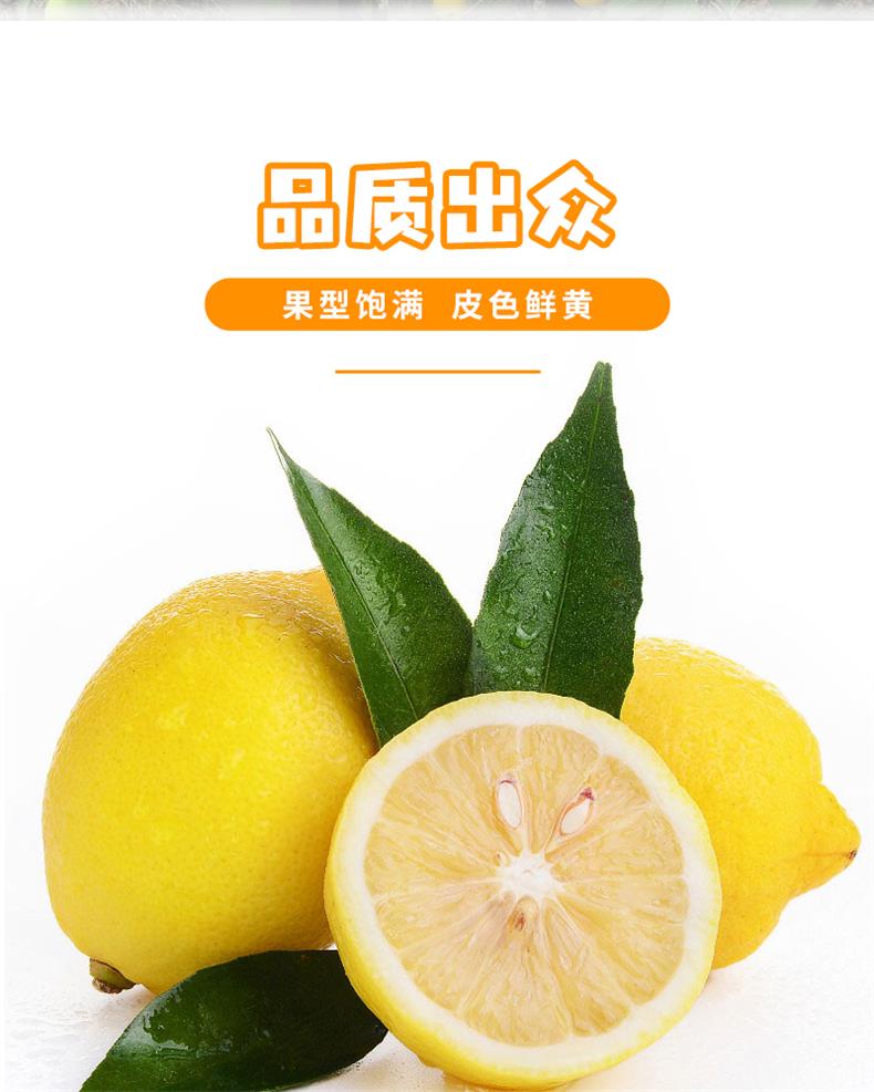 29安岳黄柠檬_03.jpg