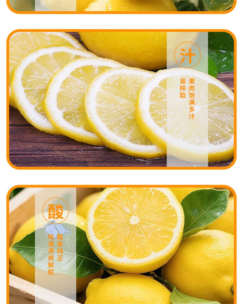 29安岳黄柠檬_06.jpg