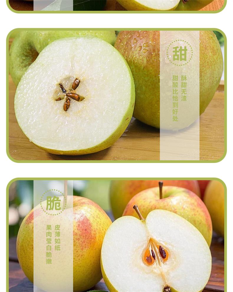 34隰县玉露香梨_06.jpg