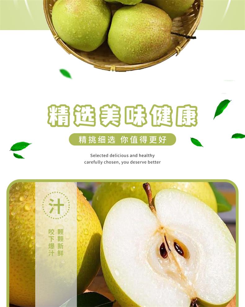 34隰县玉露香梨_05.jpg