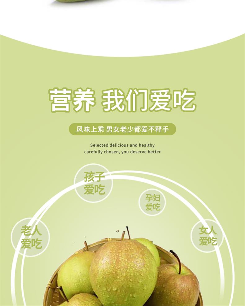 34隰县玉露香梨_04.jpg