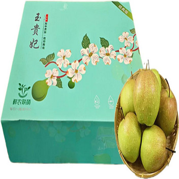 山西隰县玉露香梨6斤礼盒装单果400-450克