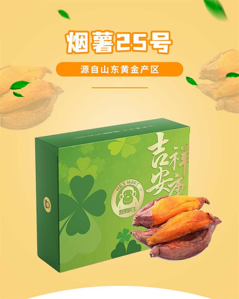 42烟薯25号_01.jpg