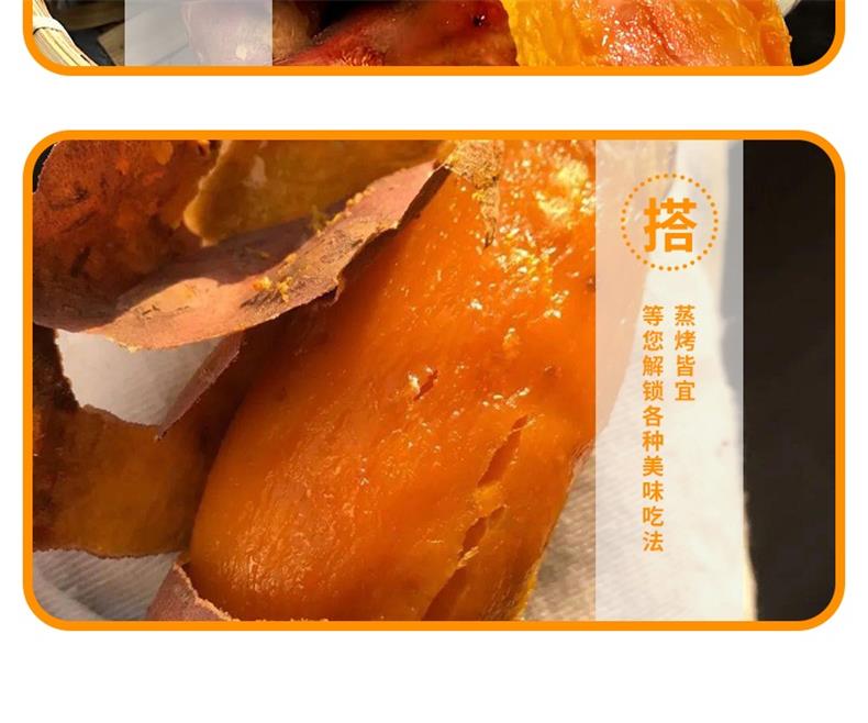 42烟薯25号_07_看图王.jpg
