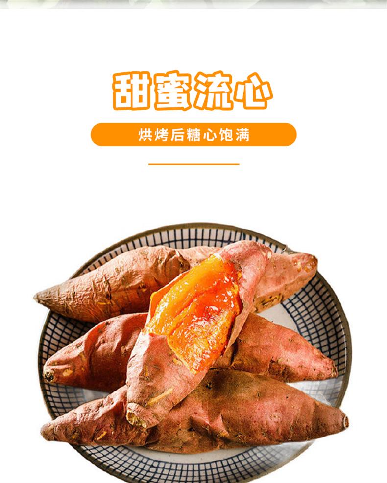 42烟薯25号_03.jpg